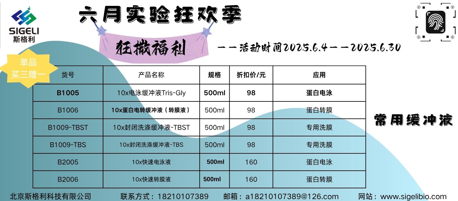 促销2